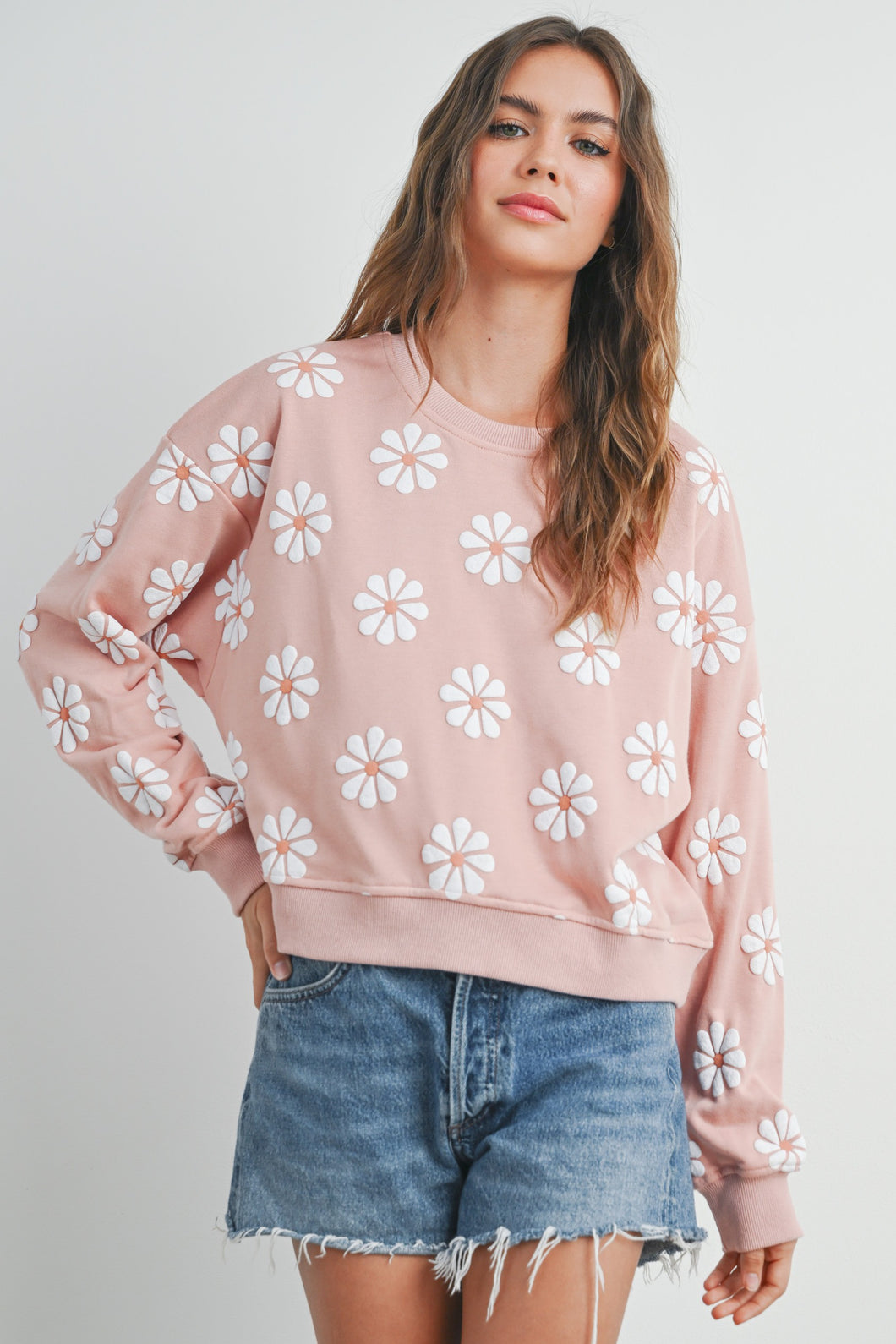 Mauve Sweatshirt Daisy Embroidery Round Neck Long Sleeve Casual Outwear