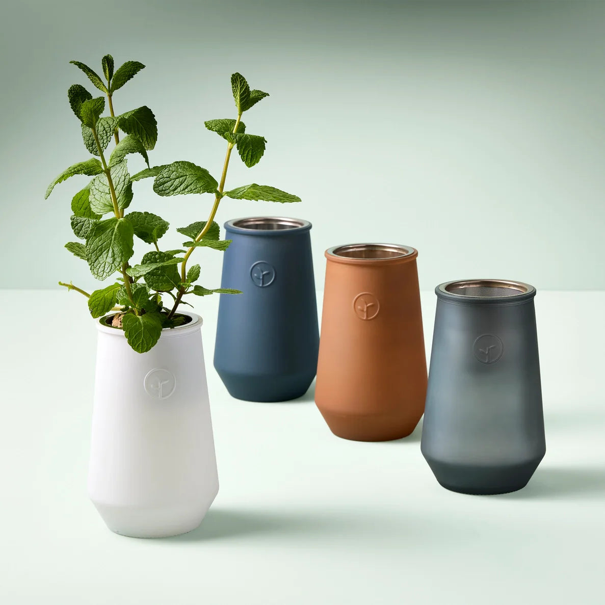 indoor lavender plant kit Modern Sprout Tapered Tumbler