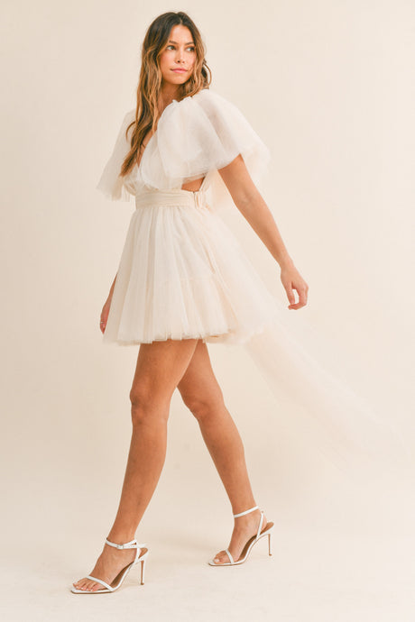 Olivia Tulle Mini Dress with Train