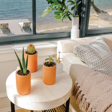 Load image into Gallery viewer, Terracotta Grow Kit: Aloe