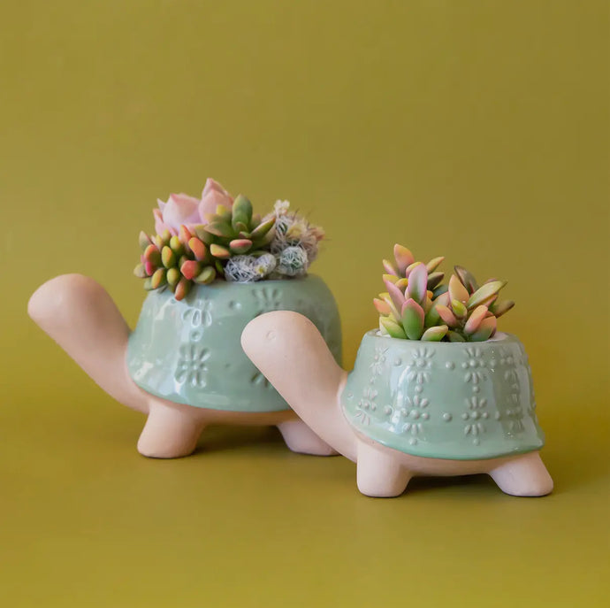 Turtle Planter Pot: Green