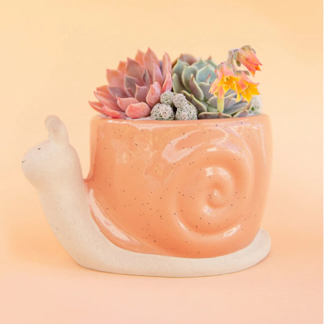 Snail Planter Pot: Sunset
