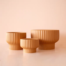Load image into Gallery viewer, Presley Pedestal Pot - Ginger