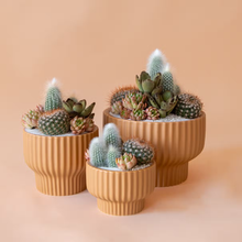 Load image into Gallery viewer, Presley Pedestal Pot - Ginger
