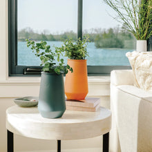 Load image into Gallery viewer, Tumbler Indoor Grow Kit: Eucalyptus