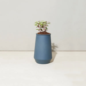 Tumbler Indoor Grow Kit: Eucalyptus