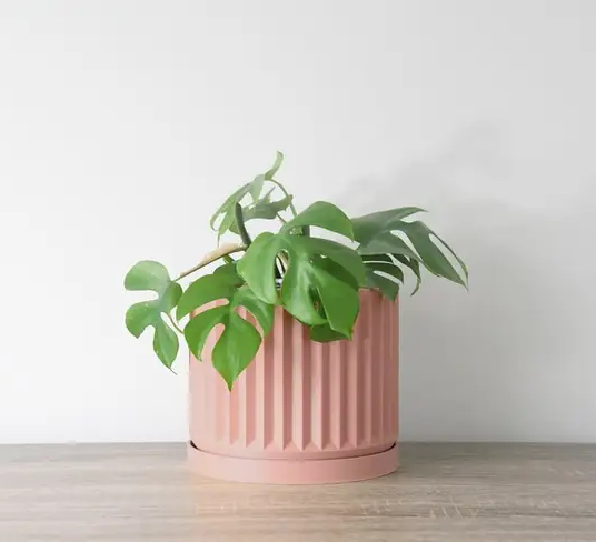 Spring Breeze Planter in Country Pink