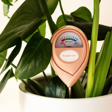 Load image into Gallery viewer, Moisture Meter - Pink